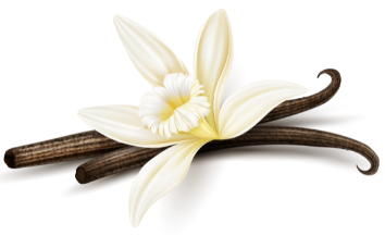 Vanilla